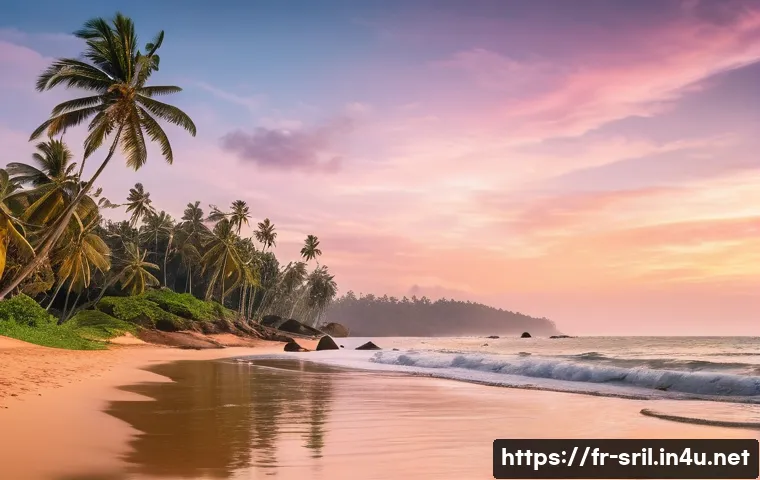 스리랑카 사진 촬영 명소 - A breathtaking panoramic view of a tranquil golden sand beach in Mirissa, Sri Lanka, at the peak of ...
