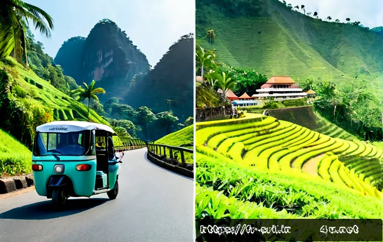 스리랑카와 동남아시아의 차이점 - Photorealistic split-screen travel comparison, left side Sri Lanka with emerald hill-country tea ter...